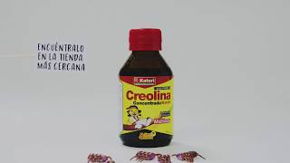 Creolina Concentrada [upl. by Shelli]