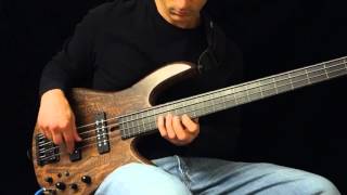 DAMIAN COCCIO  AMBIENT FRETLESS BASS  BassTheWorldcom [upl. by Schofield]