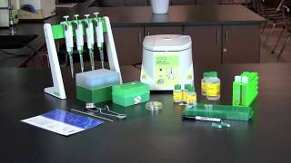 How To Perform a Plasmid Miniprep [upl. by Mckinney]