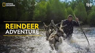 Reindeer Adventure  Primal Survivor  हिन्दी  Full Episode  S1  E3  National Geographic [upl. by Aelram]