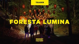 Foresta Lumina  Le tout premier parcours nocturne enchanté Lumina 2023 [upl. by Cimbura]