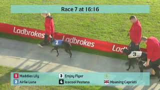 Crayford Greyhounds Races on 11th October 2024 [upl. by Hujsak]