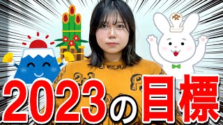 【謹賀新年】あけましておめでとうございます！新年のご挨拶amp2023の目標発表！🐰 [upl. by Calva]