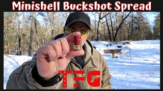 12 Gauge Minishell Buckshot Spread  TheFirearmGuy [upl. by Gehlbach]