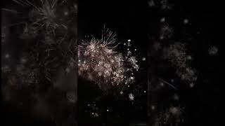 Halloween Parade and Fireworks 🎆🎇 in Ireland halloween2022 ireland travel travelvlog youtube [upl. by Goody760]