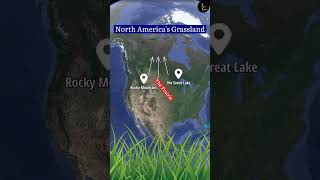 प्रेअरी  Grassland  Grassland of the world  prairie grassland  the prairies shorts [upl. by Neibart]