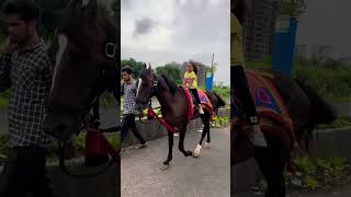 Horse video 🐎  horse horses ghoda cutebaby ytshorts viral trending shortsfeed ytvideo [upl. by Seagrave675]