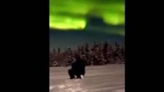 Alaska Northern Lights or Aurora Borealis Video from a customer taken on his winter vacation [upl. by Laspisa]