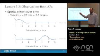 nanoHUBU Bioelectricity L33 Biological Conductors  Observations from Action Potentials [upl. by Alicec]