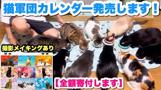 【全額寄付】我が家の猫軍団のチャリティーカレンダーを発売します！！📆✨【撮影メイキング公開】 [upl. by Hsihsa]