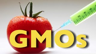 The Truth About GMOs [upl. by Ulyram]