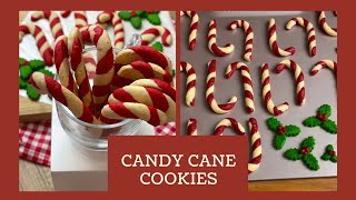 Candy Cane Cookies with Holly Leaves simple and easy cookie recipe [upl. by Drusy91]