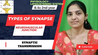 Types Of Synapse Bsc 2nd yearSynaptic TransmissionNeuromuscular Junctionsynapses4thsemestre [upl. by Akir]