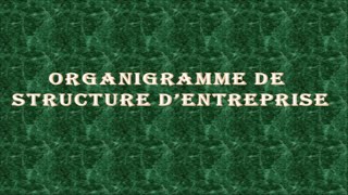 ORGANIGRAMME DE STRUCTURE DENTREPRISE [upl. by Aehc]