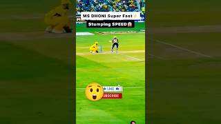 MS dhoni fastest wicket kipping 😎😎 in ipl cricket shorts csk vs kkr [upl. by Aynotal]