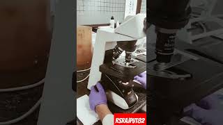 Bacterial smear  bacterial smear preparation [upl. by Drofliw]