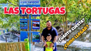 Balneario Las TORTUGAS de Huixastla Morelos 🐢  ¿Cuánto cuesta 🤑 ¿Como llegar📍 [upl. by Elazaro]