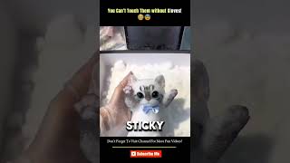 How Sticky Toys Are Made shorts viral [upl. by Ttayw]