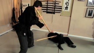 How to Use a Wooden Sword  Ninjutsu Lessons [upl. by Nnaaras959]