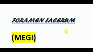 foramen lacerummbbs mnemonics [upl. by Linzer615]