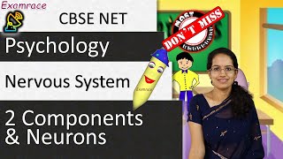 Nervous System 2 Components and Neurons Examrace  Dr Manishika [upl. by Belsky934]