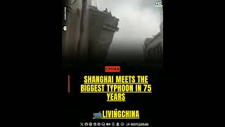 Shanghai meets the biggest typhoon in 75 years 📹livingchina [upl. by Dibb]