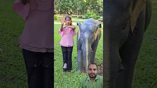 Pura vedio dekho last me kya huva 🥹♥️ comedy funny animals trending ytshorts shortvideo [upl. by Latta]