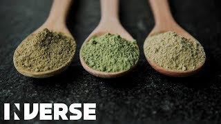 Kratom Effects Explained  Inverse [upl. by Byrne46]