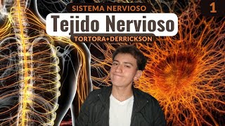 TODO lo que un ESTUDIANTE debe saber del TEJIDO NERVIOSO TortoraDerrickson [upl. by Thissa948]