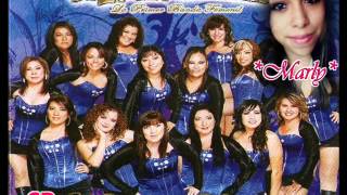 Banda Las Tapatias  Maldito Descaro Cd4 COMPLETO [upl. by Wilona513]