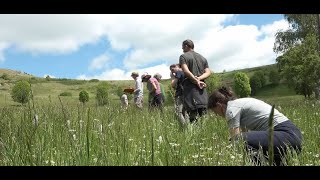 Le concours des prairies fleuries sur le Bougès [upl. by Novyert]