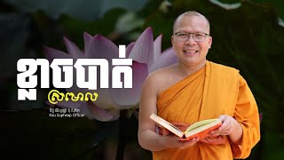 ខ្លាចបាត់ស្រមោល ធម៌អប់រំចិត្តKou Sopheapគូ សុភាព [upl. by Alcot]