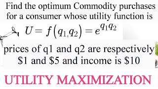 utility maximization using lagrange method constrained optimisation [upl. by Alor]