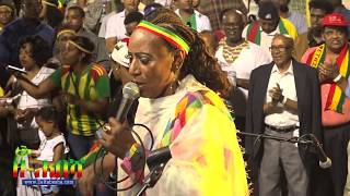 Maritu Legese  Wegene  ወገኔ  Ethiopian Day Festival Minnesota [upl. by Kate]