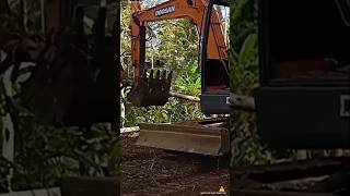 Mini Excavator Works Uprooting and Moving Treesshorts miniexcavator alatberat [upl. by Angelita]