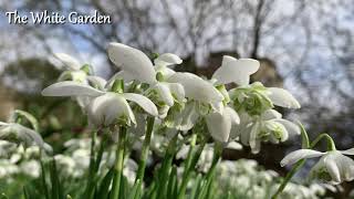 Snowdrop Virtual Tour  Part One [upl. by Cohberg]