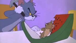 Tom and Jerry Cartoon The Tom and Jerry Cartoon Kitmp4 [upl. by Tindall298]