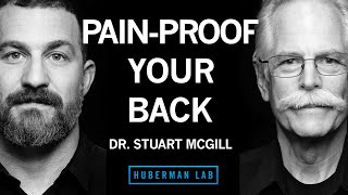 Dr Stuart McGill Build a Strong PainProof Back [upl. by Ijan515]