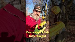 Dewalt DCPH820 hedge trimmer powered by Powerstack 17Ah battery [upl. by Anires961]