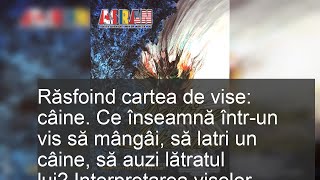 Răsfoind cartea de vise câine Ce înseamnă întrun vis să mângâi să latri un câine să auzi lătra [upl. by Oaoj]