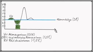 Physio 2  Atmung Teil 1 Atem und Lungenvolumina [upl. by Eninahs]