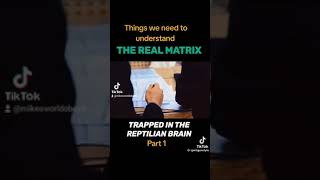 The Reptilian Brain Explained matrix [upl. by Kendricks]