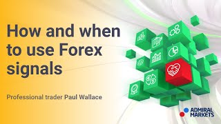 How and when to use Forex signals  Trading Spotlight [upl. by Alexandrina]