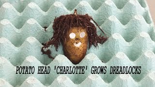 Potato Head Charlotte grows Dreadlocks [upl. by Aierdna]