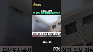 부산도시공사 임대 아파트 상가 무상 지원 KNN [upl. by Auop]