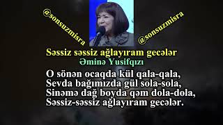 Səssizsəssiz ağlayıram gecələr  Əminə Yusifqızı [upl. by Eilarol]