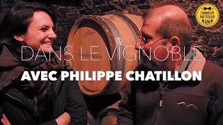 DANS LE VIGNOBLE  Rencontre avec Philippe Chatillon un des plus grands vignerons du Jura [upl. by Nivar895]