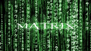 Saga Matrix Latino 1 Link [upl. by Auberon531]