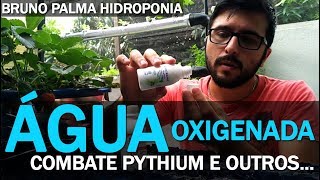 Água Oxigenada  Combate de Pythium e outras doenças  Hidroponia [upl. by Su]