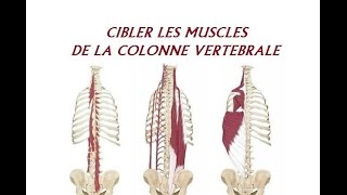 Cibler les muscles de la colonne vertébrale [upl. by Enilrac]